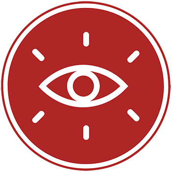 visão